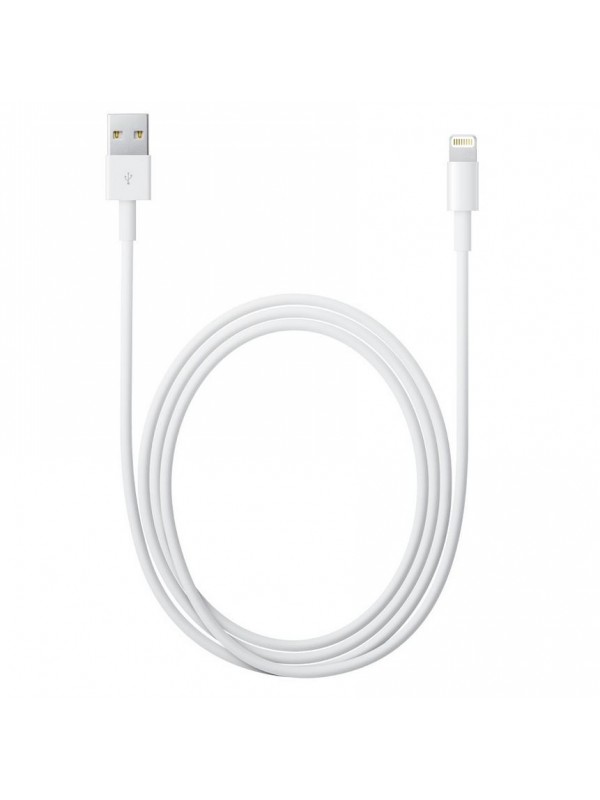 Voordracht verlichten smaak Lightning Kabel (1 m), for iPhone 6 Plus